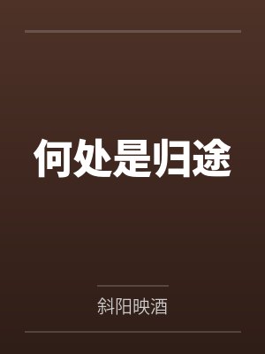 何处是归途by斜阳映酒封面