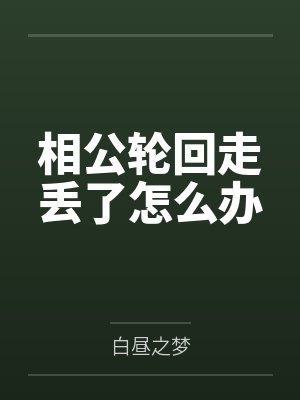 相公轮回走丢了怎么办by白昼之梦封面